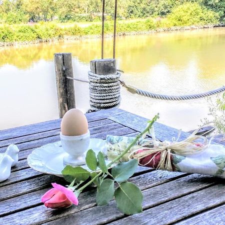Quai Des Fleurs Bed & Breakfast Saint-Savinien Luaran gambar