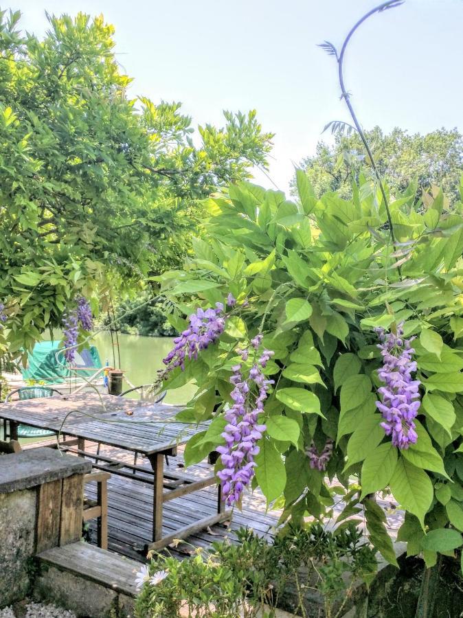 Quai Des Fleurs Bed & Breakfast Saint-Savinien Luaran gambar